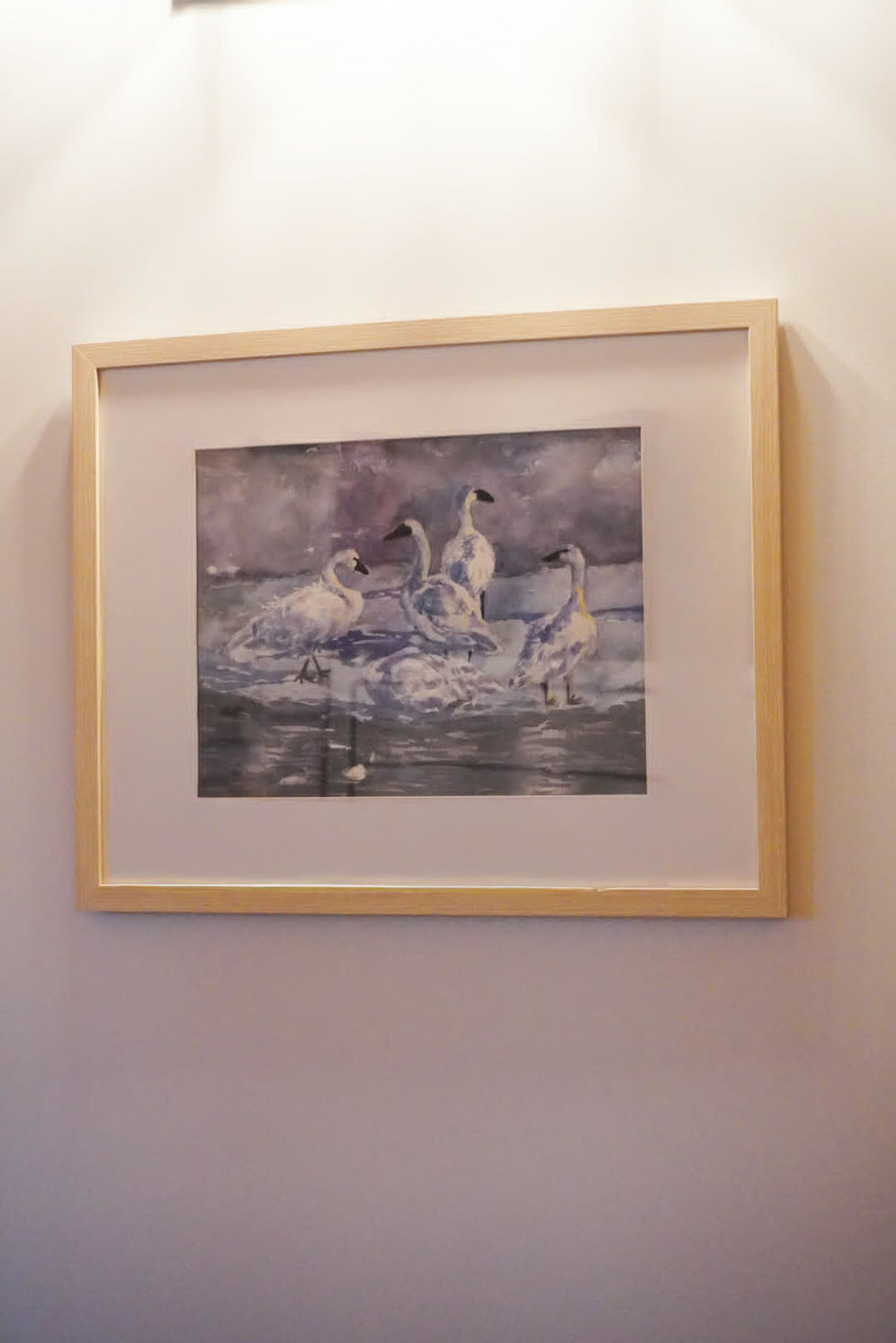 Swans