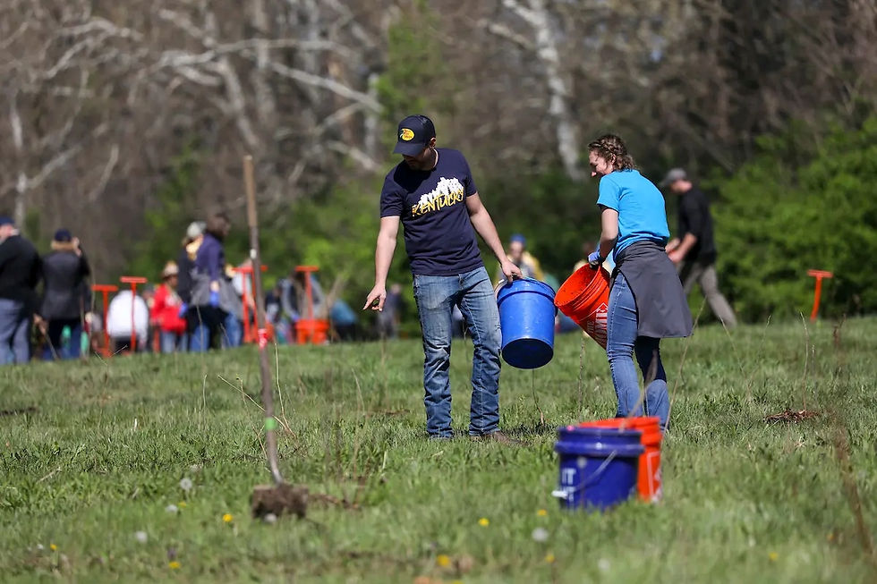 Reforest the Bluegrass