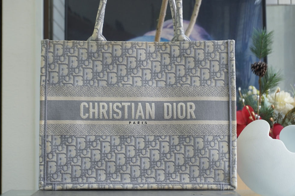 DIOR ディオール ブックトート バッグクリーニング 撥水コーティング