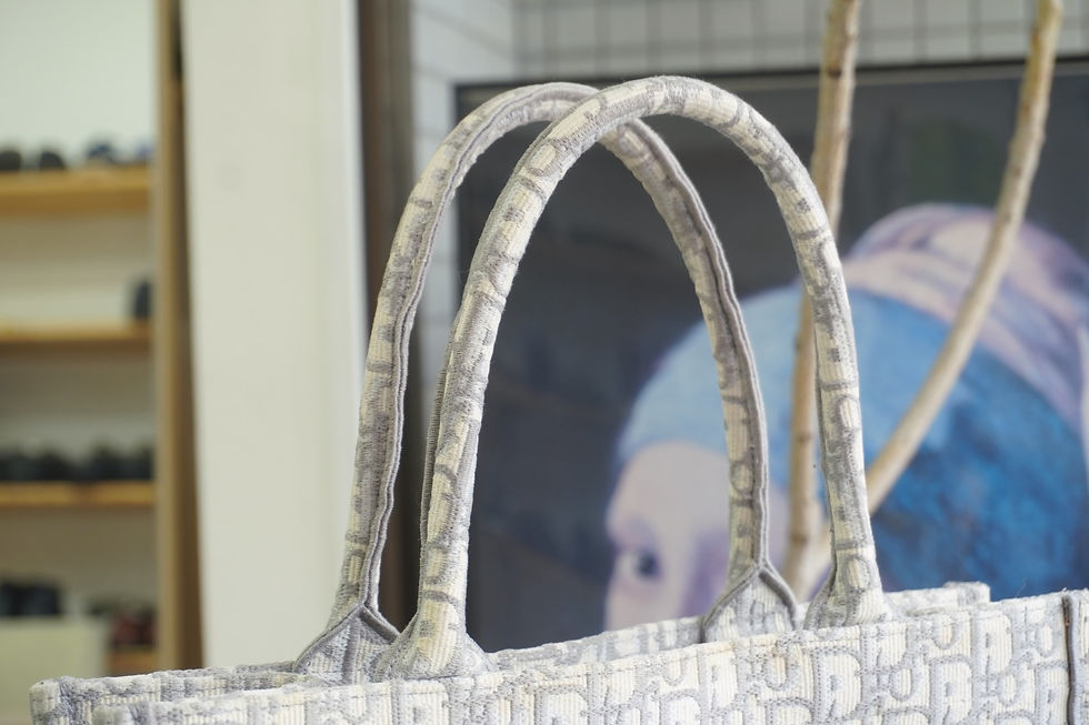 DIOR ディオール ブックトート バッグクリーニング 撥水コーティング