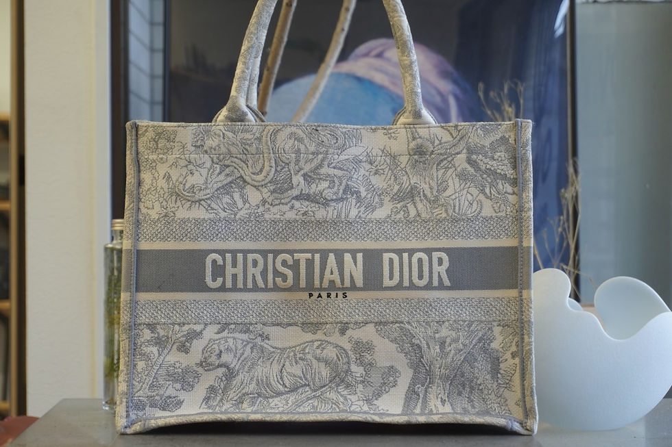 DIOR ディオール ブックトート クリーニング 撥水加工 他店で断られた修理 全国郵送 VIVOshoesalon