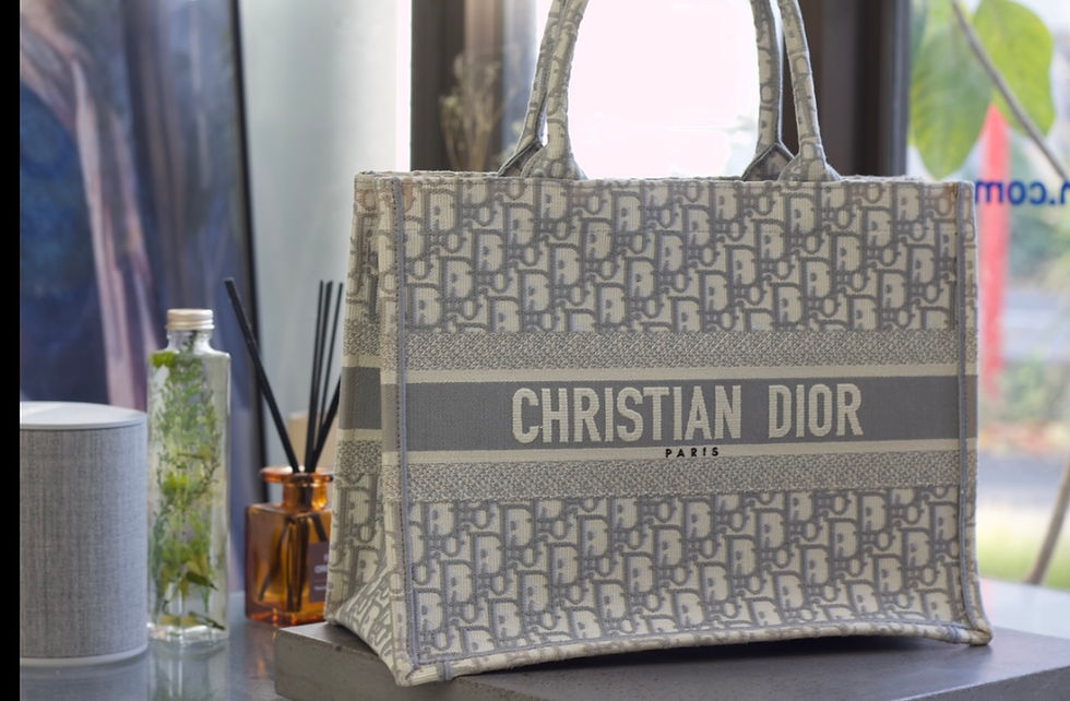 Dior ブックトート グレー 丸洗いクリーニング＋撥水コーティング（埼玉 大宮 VIVOshoesalon 郵送可・他店で断られた修理）