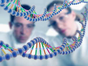 Sequenciamento de DNA de alto desempenho para a infectologia