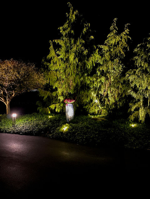 low voltage up lighting