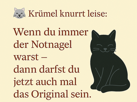 🧯 Ich hab mich nicht kaputtgearbeitet, um mich dafür auch noch entschuldigen zu müssen