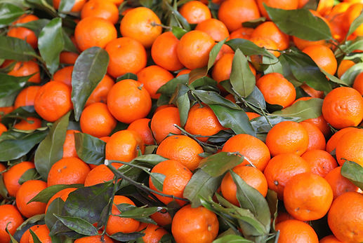 Dostava mandarina Hrvatska