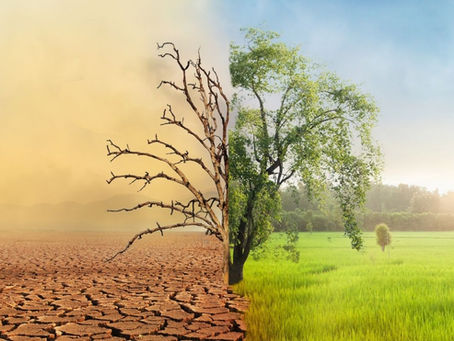 How the 2025 Family Law Reforms Changed the Way We Practice in 2026  