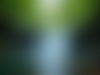 Top Attractions to Explore in the Queen of Hills