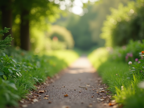 Effective Holistic Healing Methods for Wellness