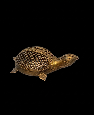 Turtle 