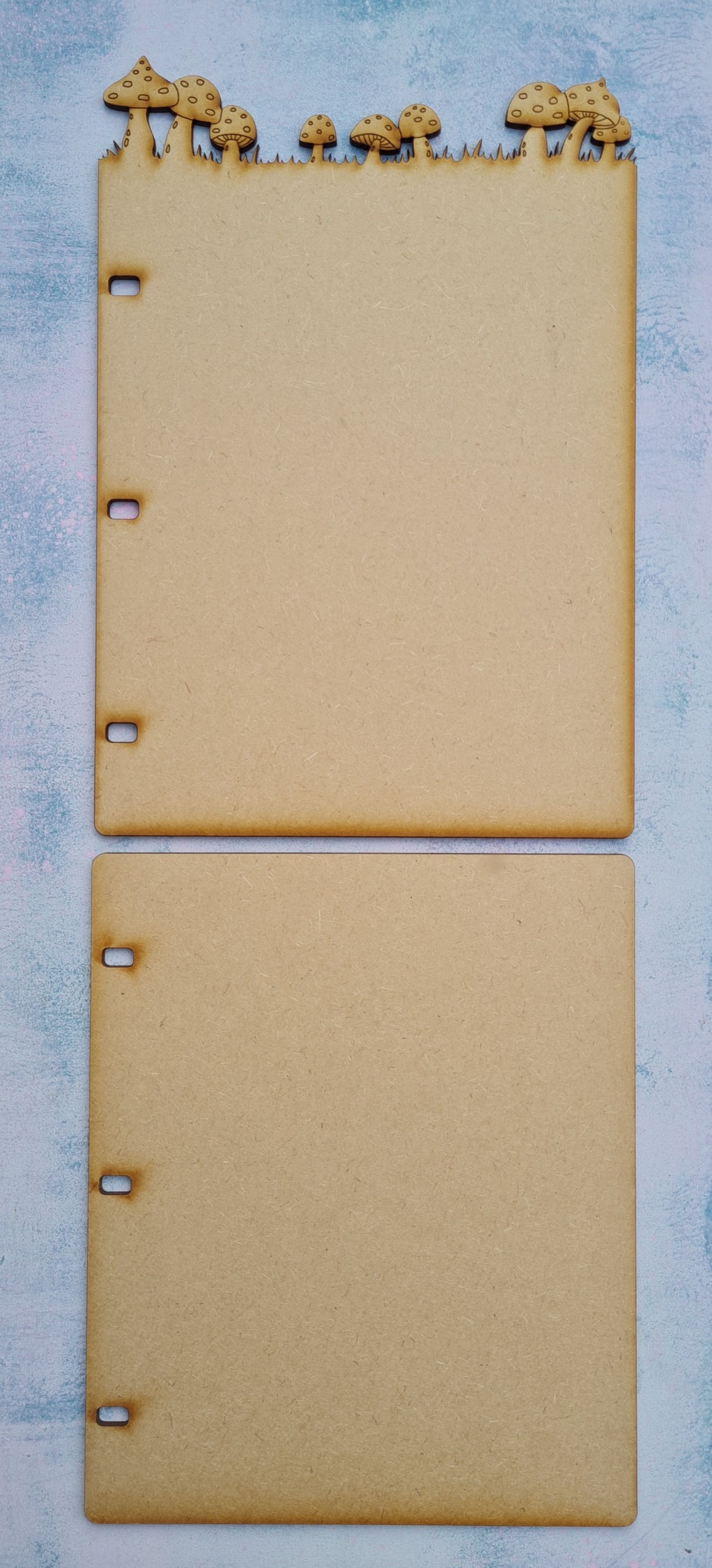 Mushroom Journal Cover