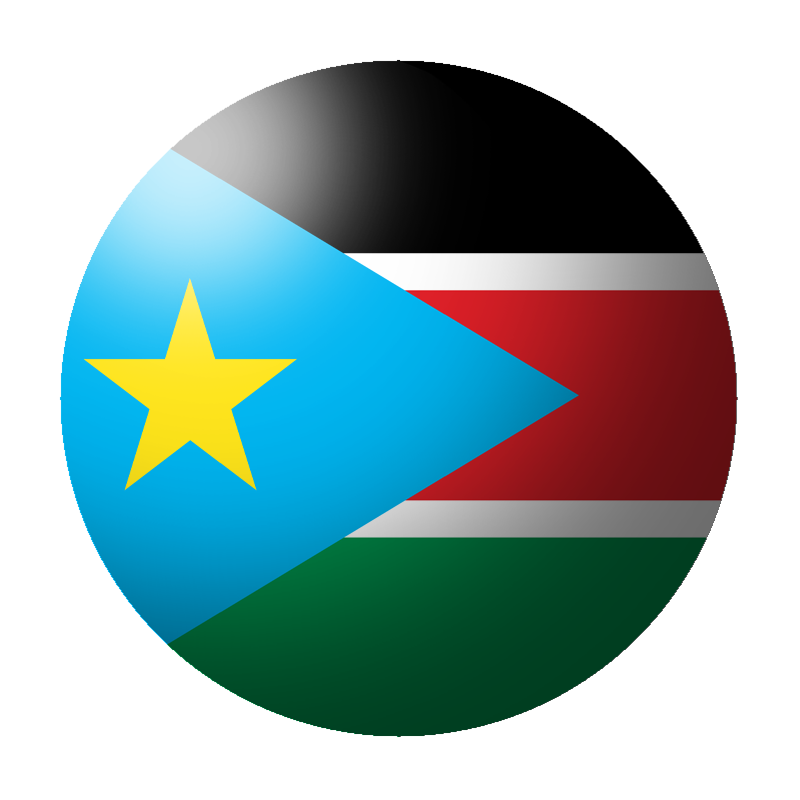 100-ch-soledaf-steps-flag-for-swizzera.png