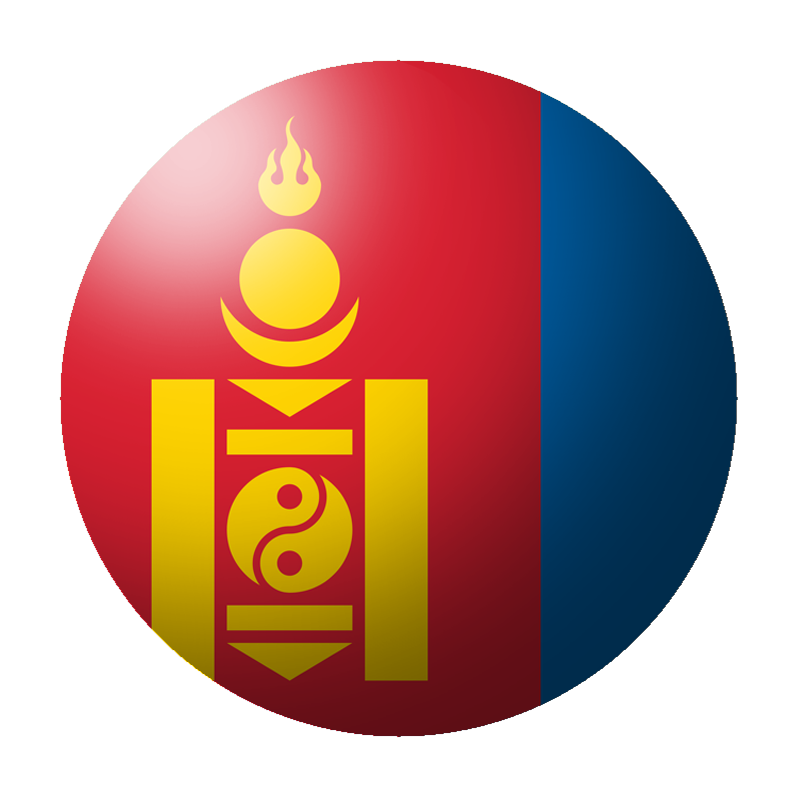 100-ch-soledaf-steps-flag-for-swizzera.png