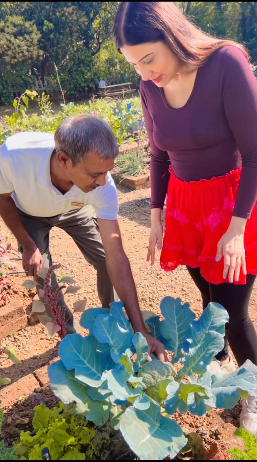 Organic broccoli marvelling and tasting with the retreat’s magical gardener - Lal Bahadur Shastri