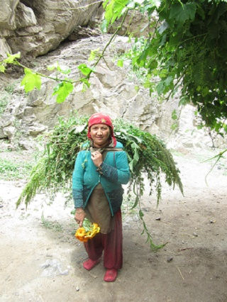 Brokpa lady- Dahnu / Photo credits - Dr. Priya Virmani