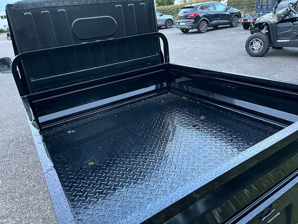 Miniaturbild: Pandora E-Truck PickUp 75km/h 10(20)kW