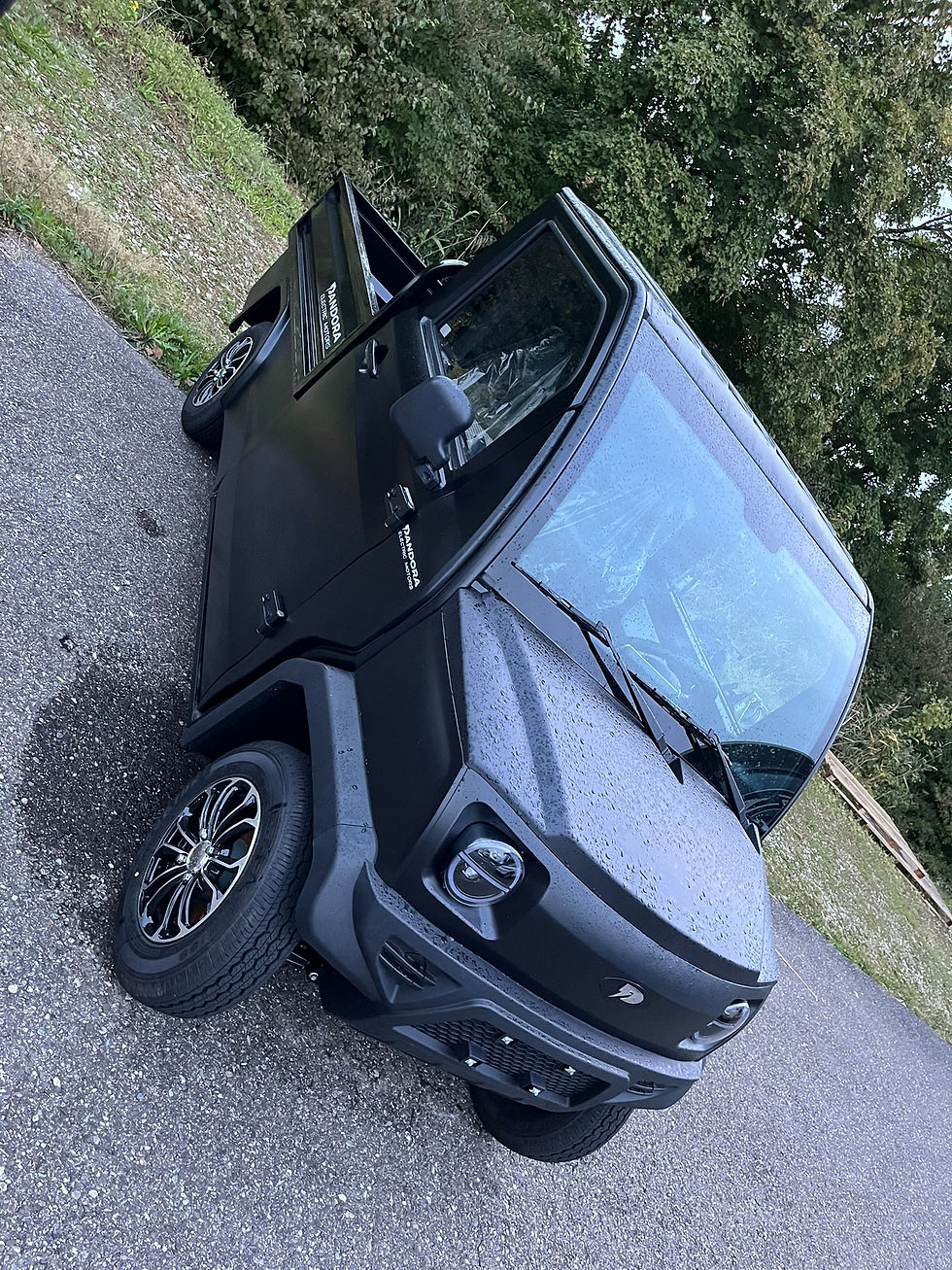 Miniaturbild: Pandora E-Truck PickUp 75km/h 10(20)kW