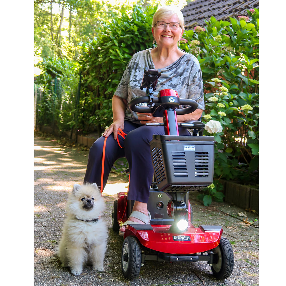 Miniaturbild: Rolektro E-Quad 6 Blei-Gel, Rot