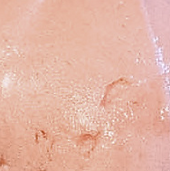Raspberry Sorbet.png