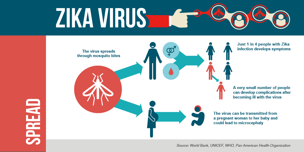 Zika Virus