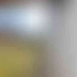 Ausenansicht mit garten