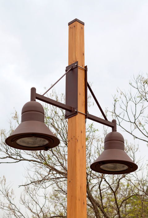 Valmont Tehomet Wood Pole - Dome Fixture Twins - Custom Arms - Zoo.jpg