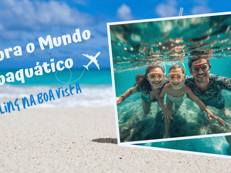Snorkeling na Boa Vista: descubra o lado mais autêntico do Oceano Atlântico
