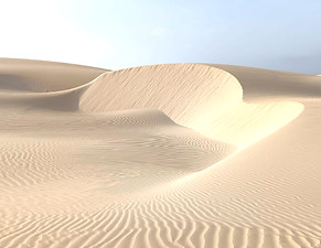 7f89756f-d3fe-40cd-9157-f1acb2710136_edited.jpg