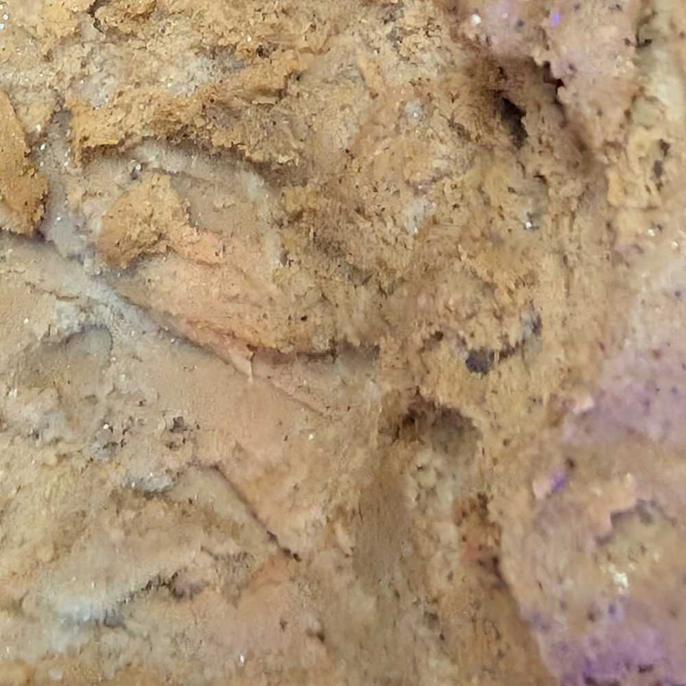 Rum & Raisin Ice Cream