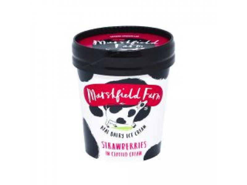 Strawberry Ice Cream