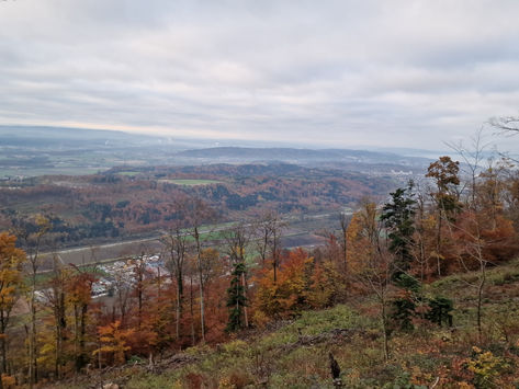 Frohe Weihnachten und einen guten Rutsch