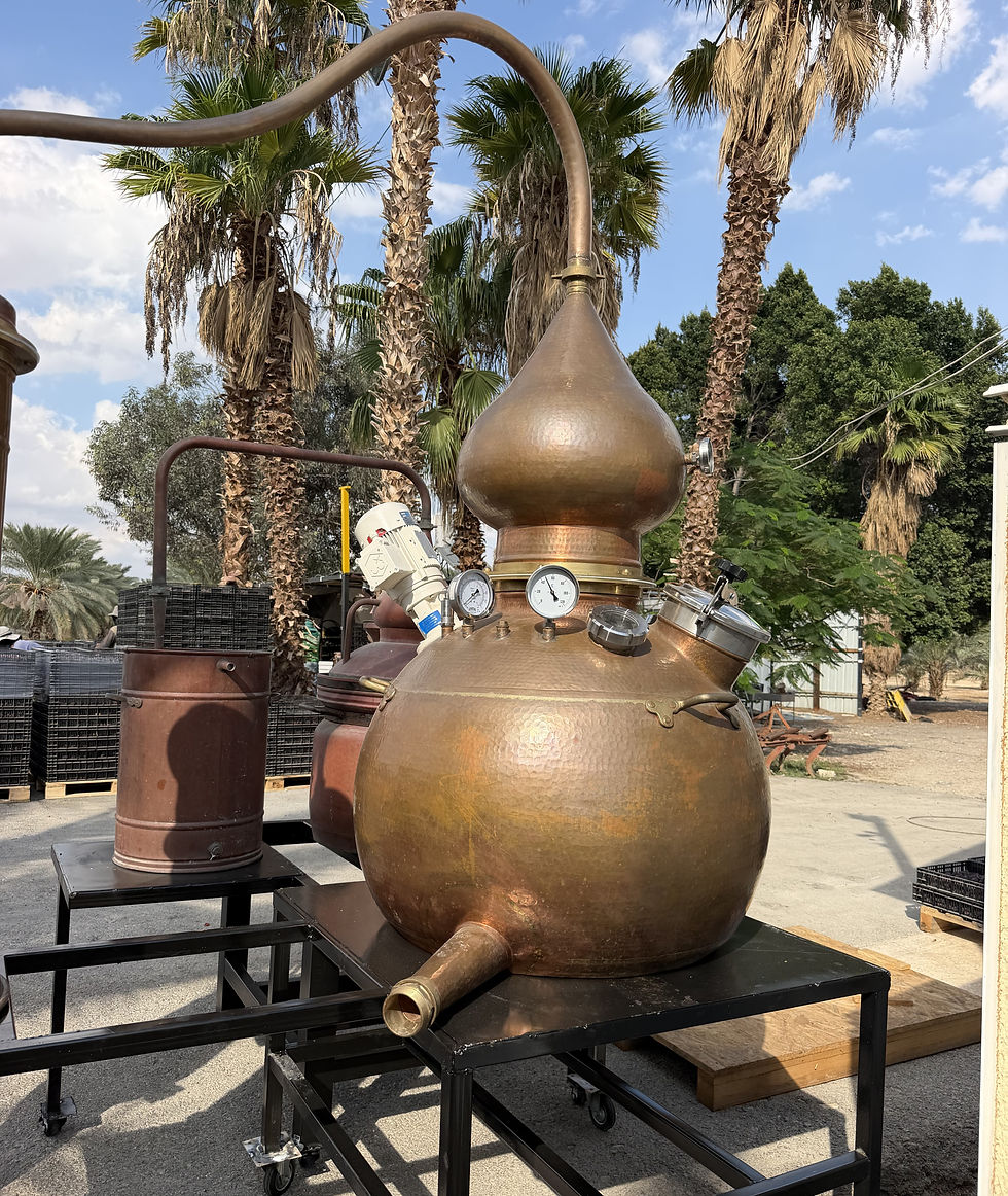 המזקקה במסעדת הצ'אנס האחרון צילום יחצ