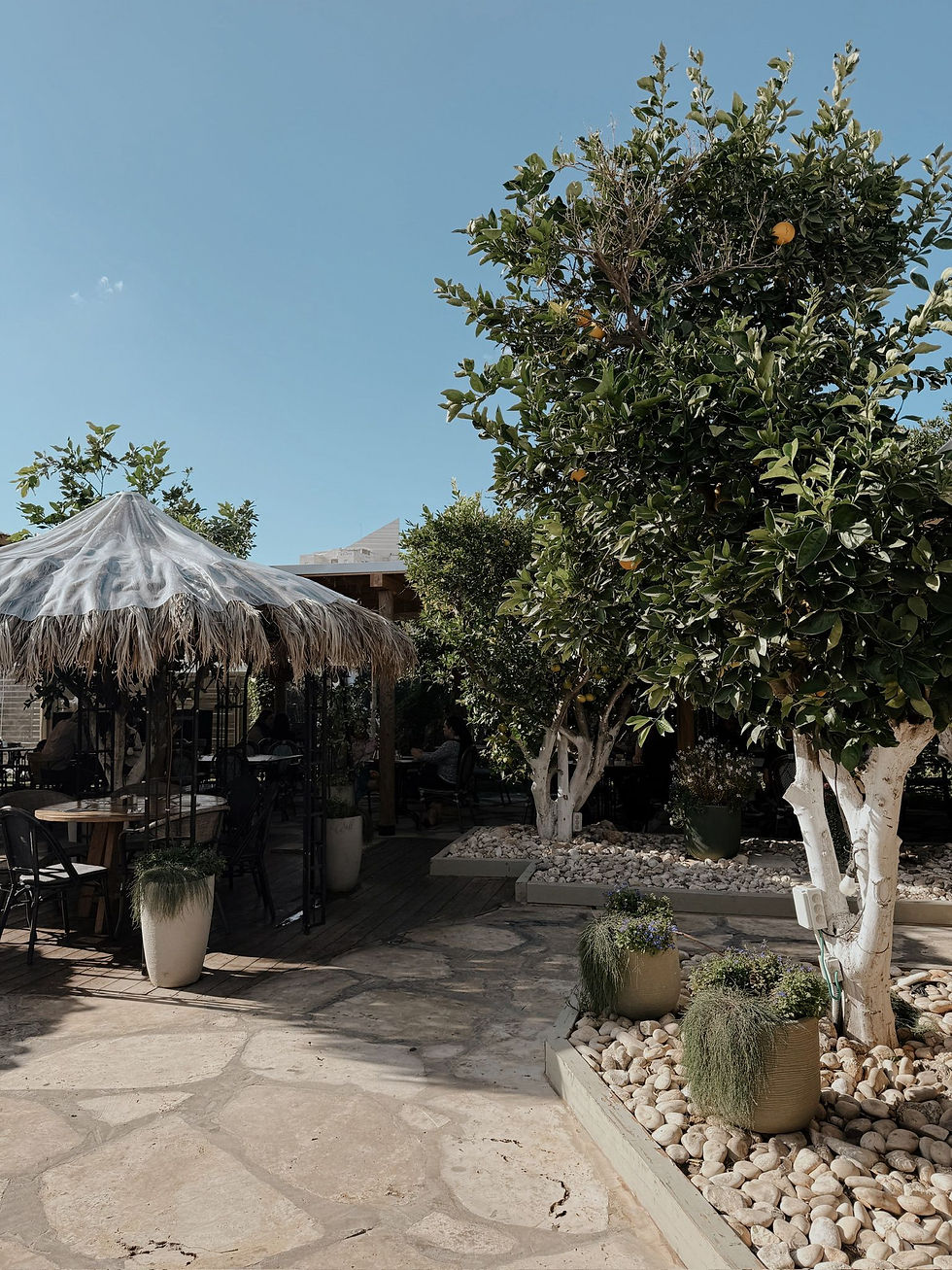 קלמא- בין עצי םרי ההדר