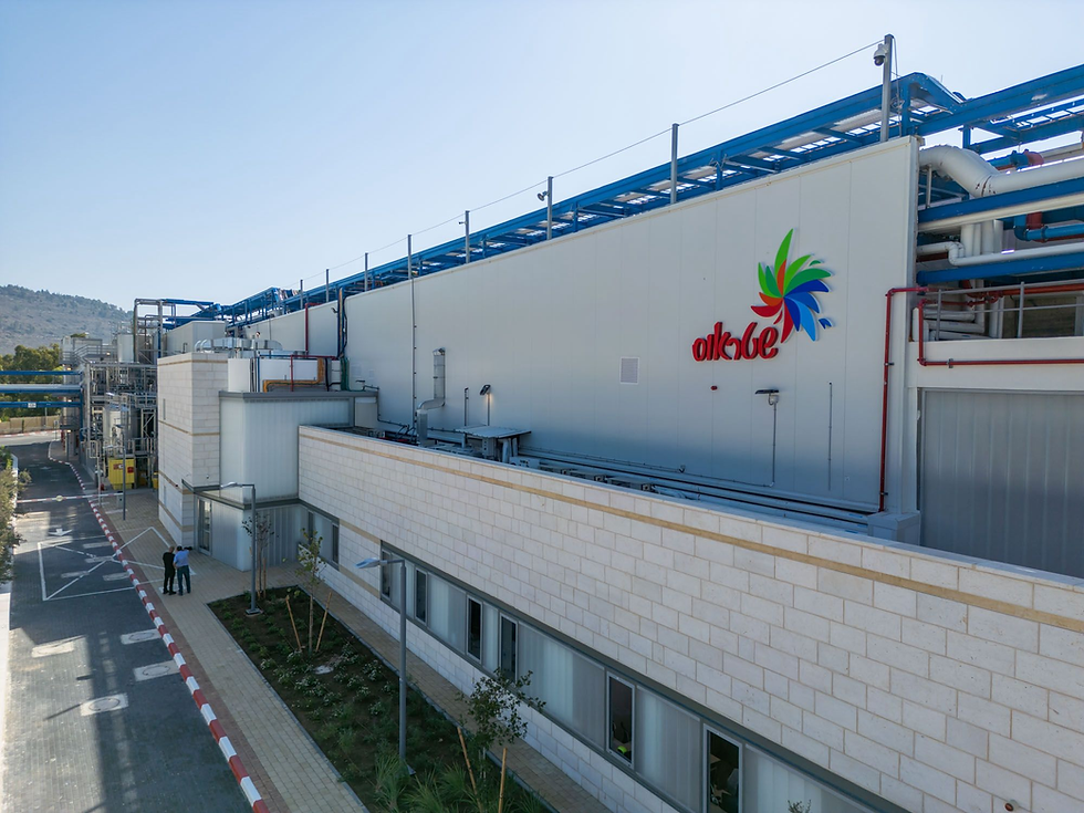 צילום פלג אלקלעי