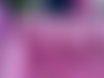 PINK PARTY