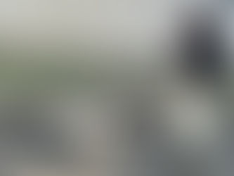 הטיול עם הכלב, גרסת 2026: בלי ידיים, בלי ריחות, עם הרבה סטייל או הרצועה ששינתה לנו את הטיול עם הכלב