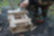 Wild Embers SEND Holiday Club