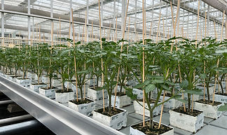 WeChat Image_20220831154053.jpg