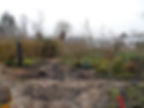 DSCN0590_tn