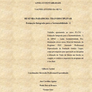 Paradigma Transdisciplinar