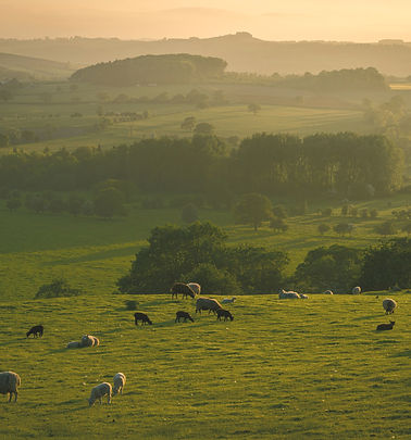 illiya-vjestica-W5FdAcHp7l8-unsplash_edi