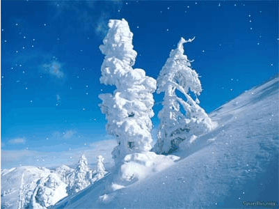 AnimatedSnow.gif