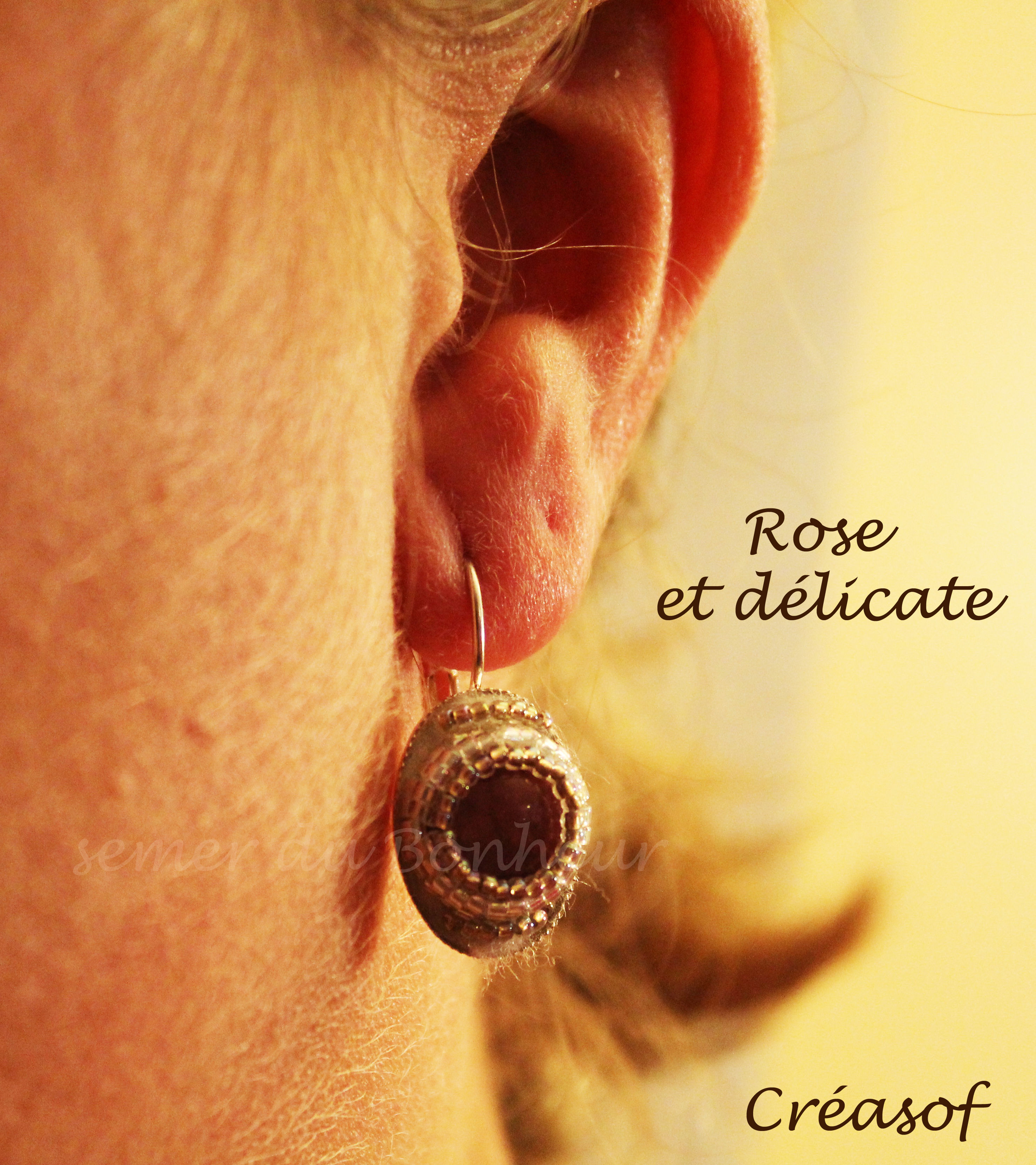Boucles d'Oreille Rose et Délicate