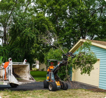 Using heavy machinery to help clear brush and debris