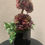 Miniatura: Arreglo Floral Prisma Negra