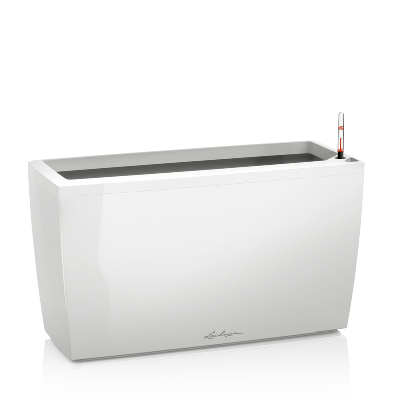 Miniatura: Maceta Lechuza Cararo Premium