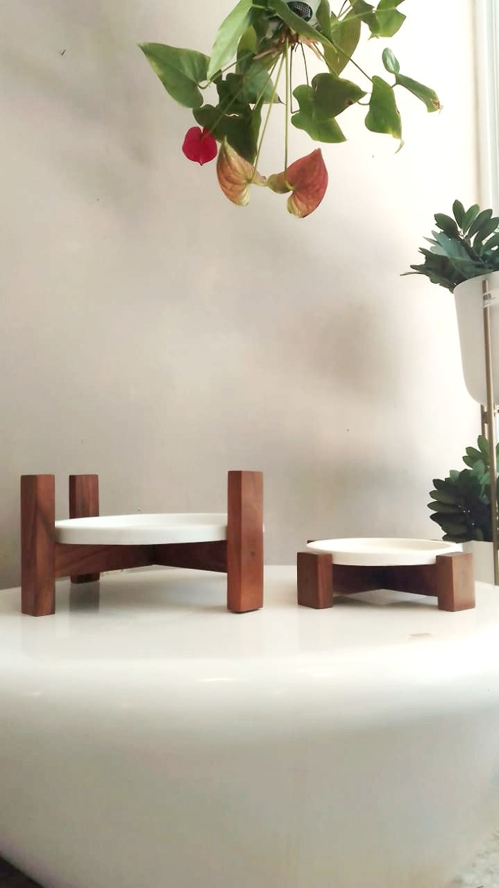 Miniatura: Terra 45 Parota