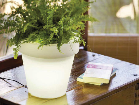 Macetas iluminadas para exteriores: precio y beneficios para tu jardín