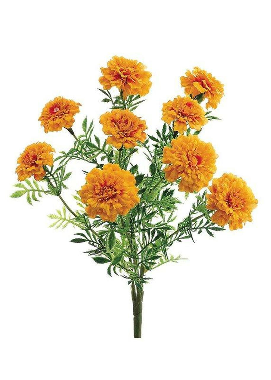 CEMPASUCHIL 13" AMARILLO