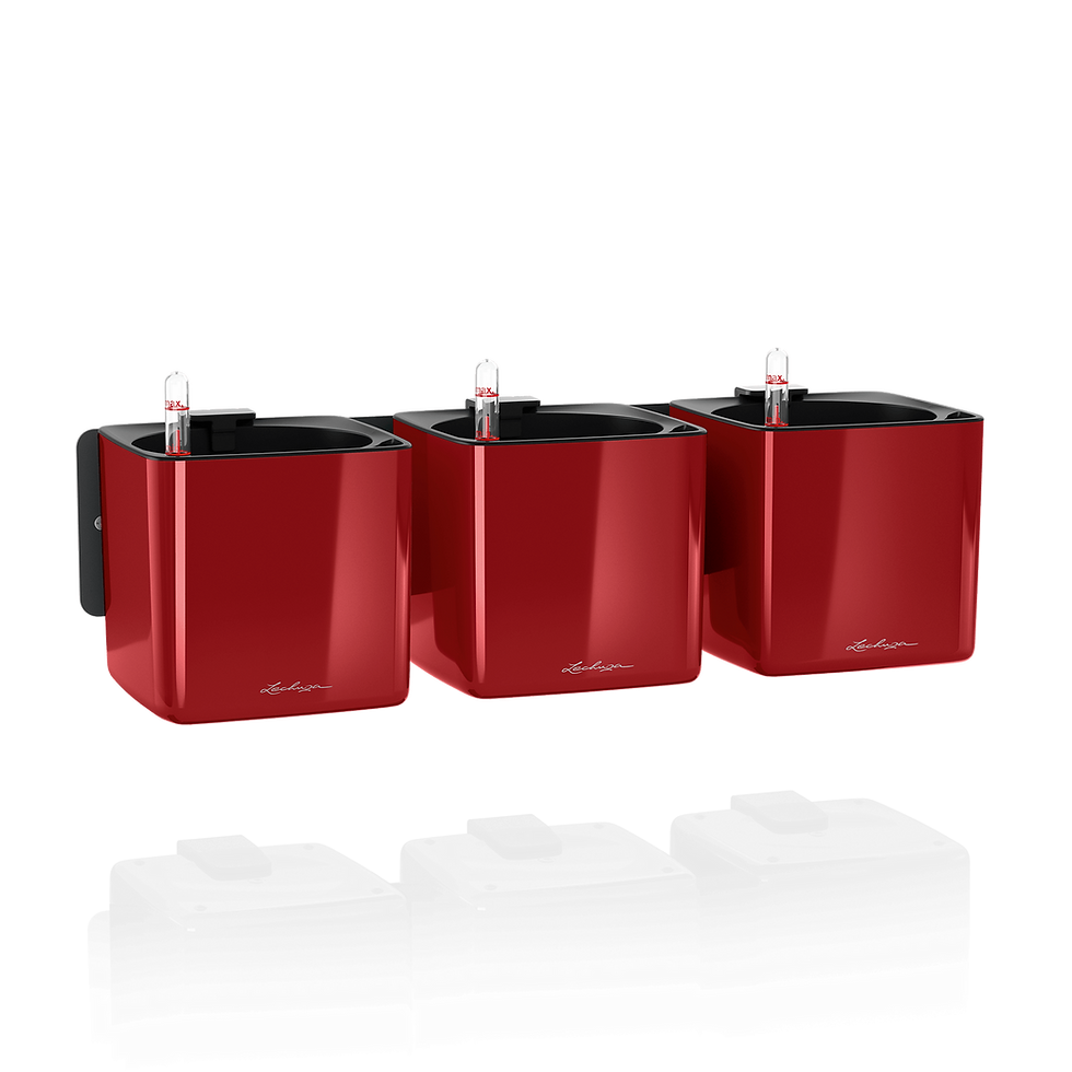 Miniatura: Green Wall Home Kit Glossy